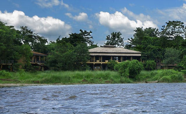 Jungle Villa Resort