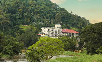 Oak Ray Regency Hotel