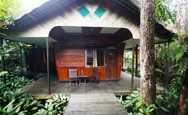 Rimba Orangutan Eco Lodge