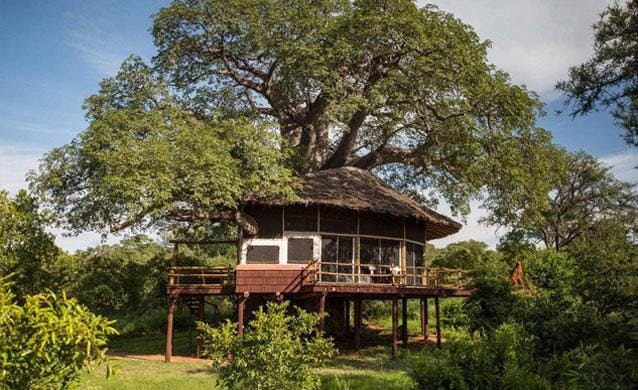 Tarangire Treetops