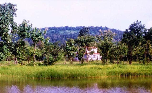 Tiger Trails Jungle Lodge
