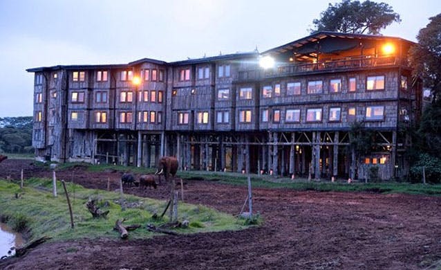  Treetops Hotel