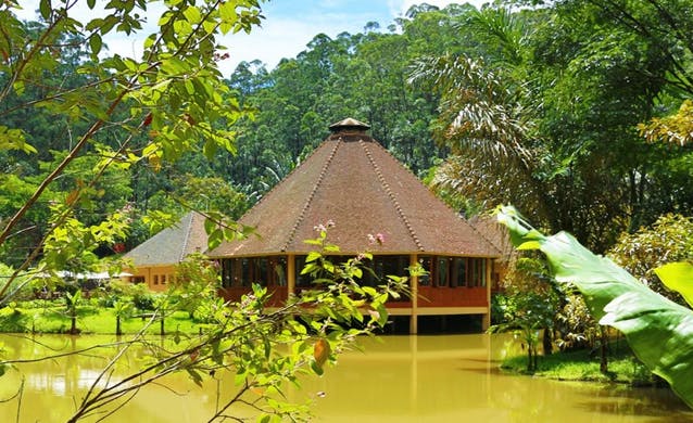 Vakona Forest Lodge