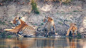 02-onthekanha