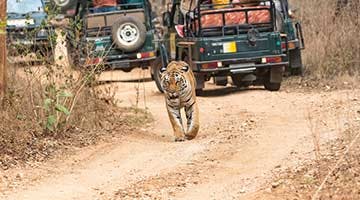 02-onthepench1