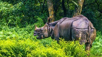 a-scenic-getaway-in-nepal-05