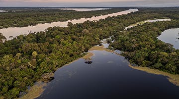 amazon-rainforest-adv.