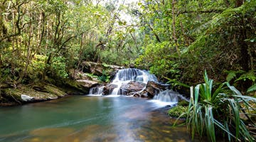 andasibe-national-park-bestf