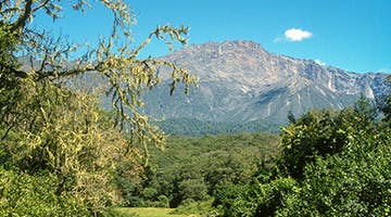 Arusha-01-n-news
