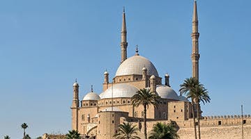 beguiling-nile-07