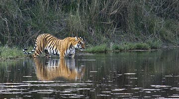 best-of-nepal-07