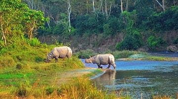 best-of-nepal-08
