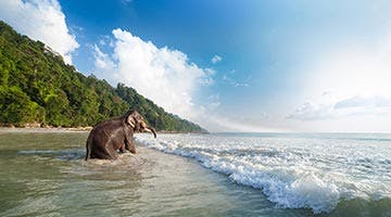 best-of-port-blair-and-havelock-04