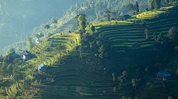 bhutan-land-of-thunder-dragons-11