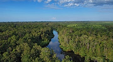 Camp-Leakey-01-oru