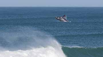 chauffeured-sidecar-whale-route-experience-02
