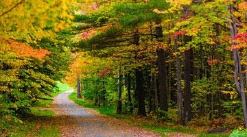 colours-of-new-england-05