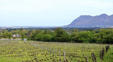 constantia_winelands_experience_02