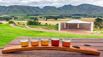 craft-beer-tasting-and-sunset-beach-bbq-experience