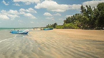 culture-east-coast-03