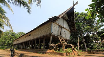dayak-village-jung