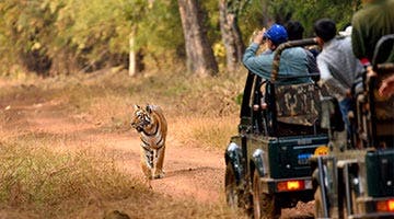 deccan-odyssey-maharashtra-wild-trail-07