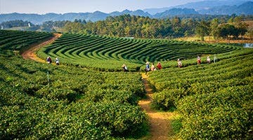 eastern-himalayan-experience-06