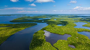 Everglades-meet