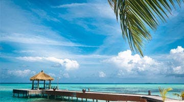 golden-triangle-and-the-maldives-12
