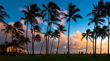 hawaiian-discovery-07