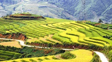 insight-central-and-southern-vietnam-09
