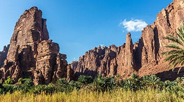 iti-wadi-disah-the-valley-of-palms
