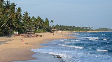 kalutara-iti