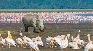 kenya-horizon-06