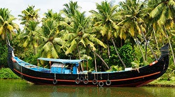 kerala-tea-and-spice-country-06