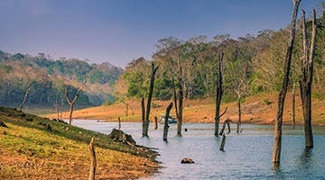 keralan-backwater-experience-07