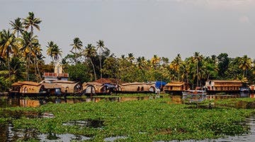 keralan-backwater-experience-10