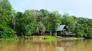 kinabatangan-river-cruise-kotakday5