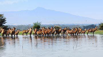 lake-naivasha-01-big1