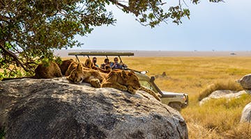loisaba-conservancy-02-elew