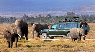 mara-game-drive-lege