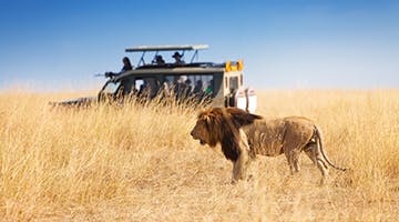 masai-mara-01-elew