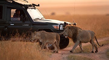 masai-mara-01-t