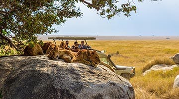 Masai-Mara-022