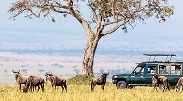 masai-mara-03-4