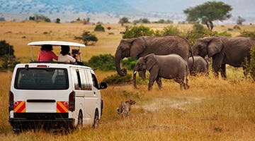 masai-mara-03-elew