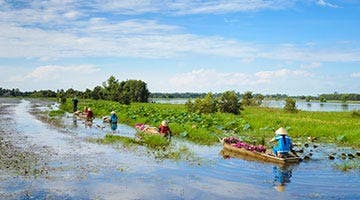 mekong-delta