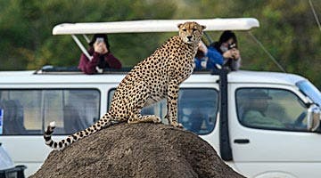 mtkenya-masai-mara-adventure-05