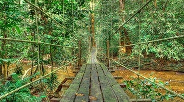 mulu-02-cul-mu-iti-image