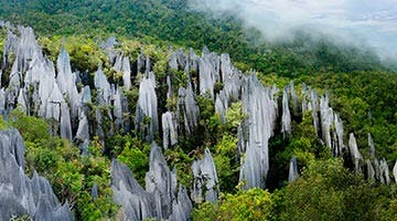 mulu-03-dep-iti-image